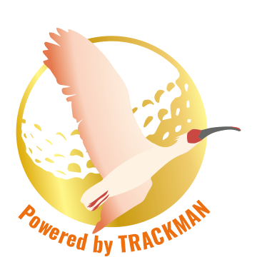 toki club